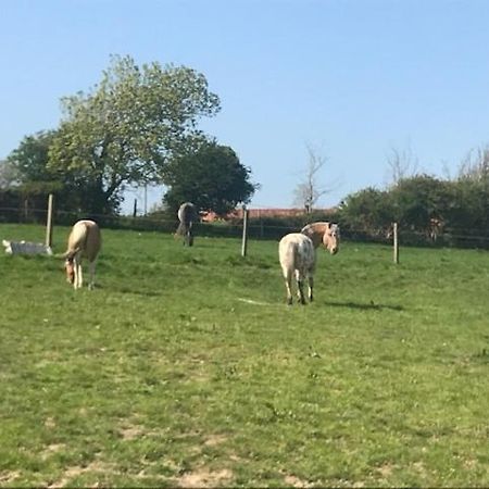 Camping De Warincthun Audinghen Zewnętrze zdjęcie